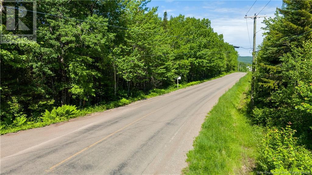 Lot 2 Route 895 Property Photo 5