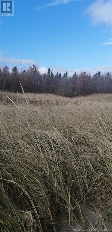 Lot 2 Robichaud Property Photo 5