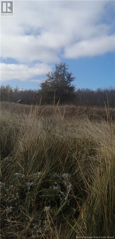 Lot 2 Robichaud Property Photo 6
