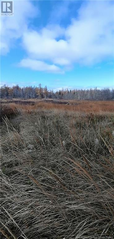 Lot 2 Robichaud Property Photo 8