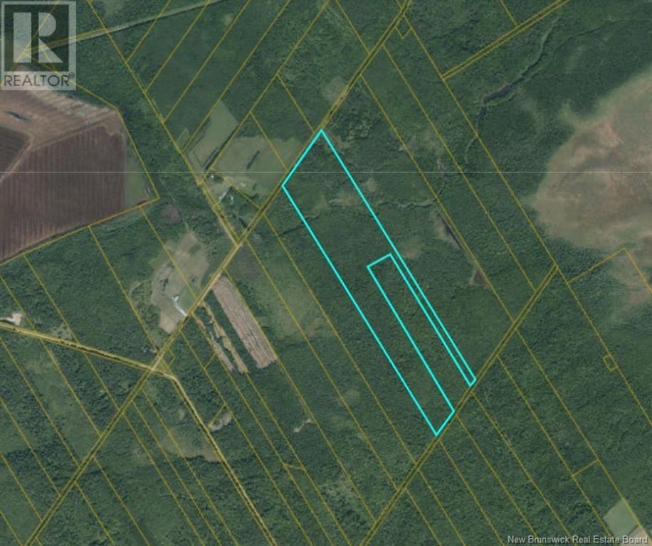 Lot 41 Mclean Settlement Backroad Property Photo 1