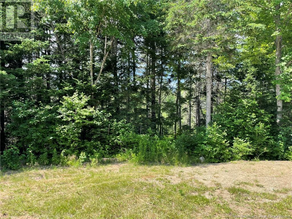 2220 Saint-charles Sud Property Photo 16