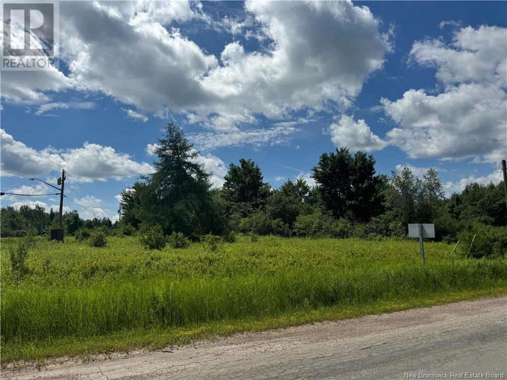 Lot Aldouane Station Road Property Photo 2