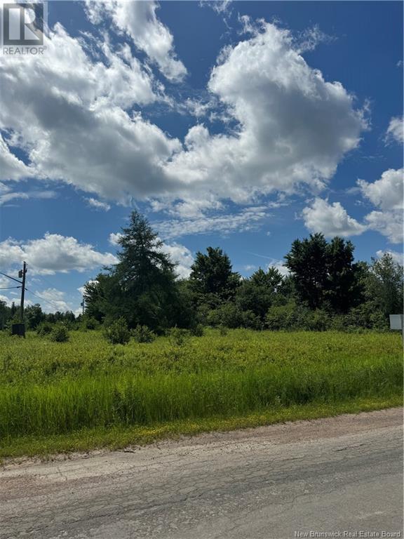 Lot Aldouane Station Road Property Photo 3