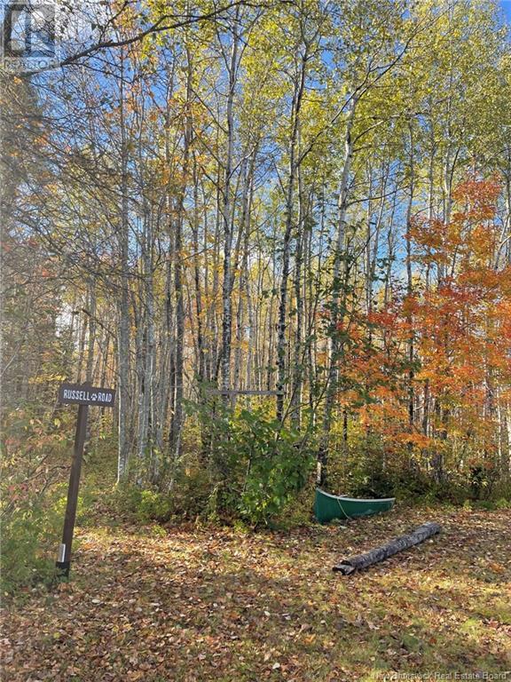 339 South Canaan Road Property Photo 22