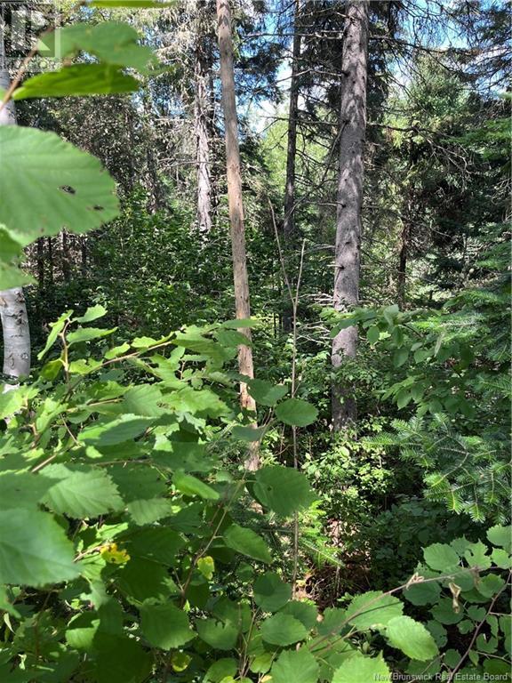 5026 Route 515 Property Photo 5