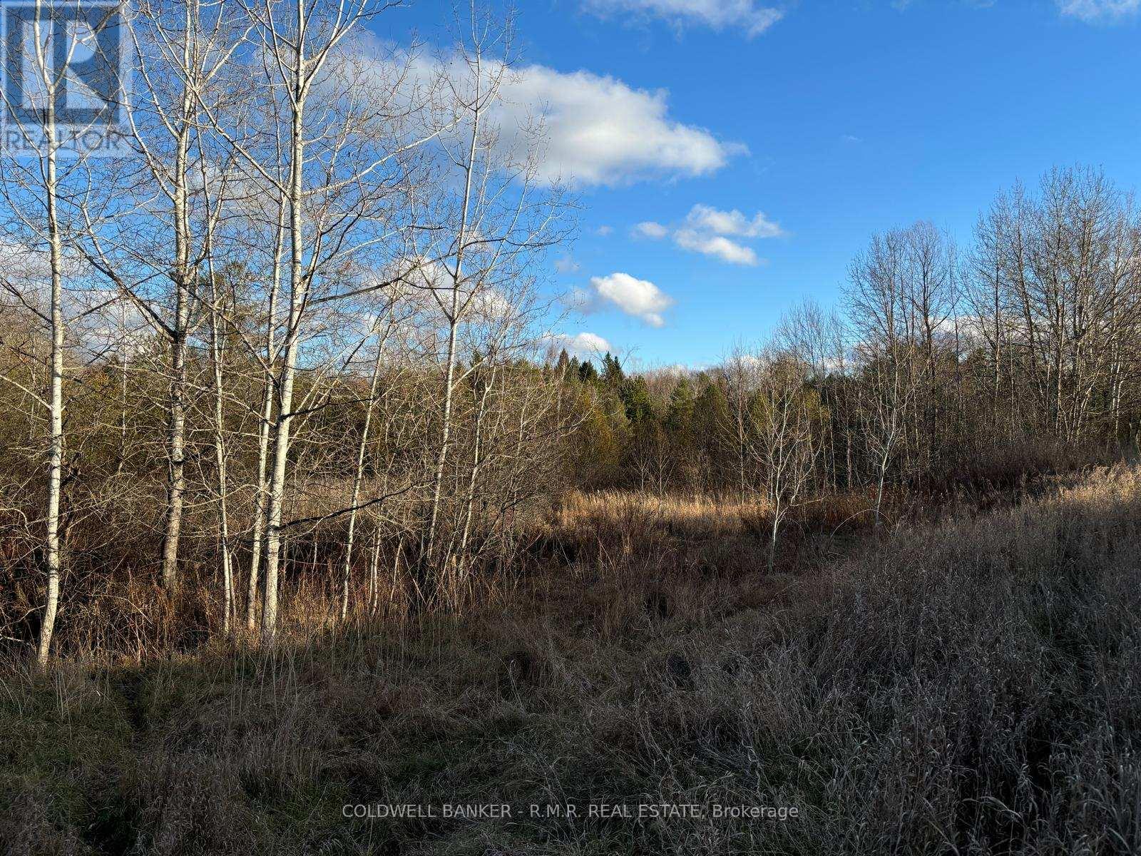B1995 Concession 7 Road E Property Photo 10