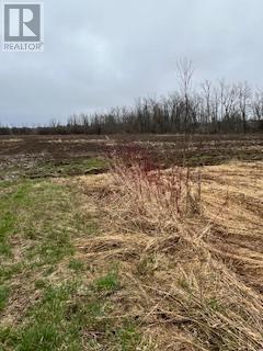 N/a Highway 48 Property Photo 6