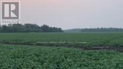 7254 10th Line Property Photo 12