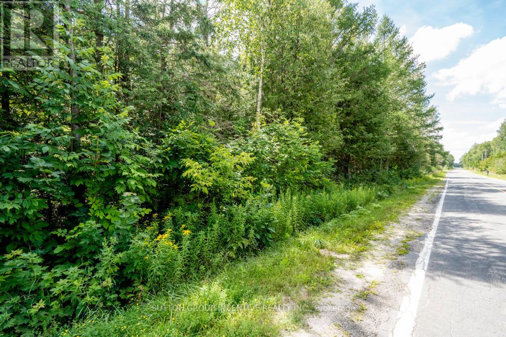 5349 30th Side Road Property Photo 6