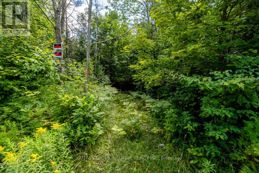 5349 30th Side Road Property Photo 8
