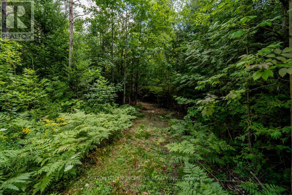 5349 30th Side Road Property Photo 9