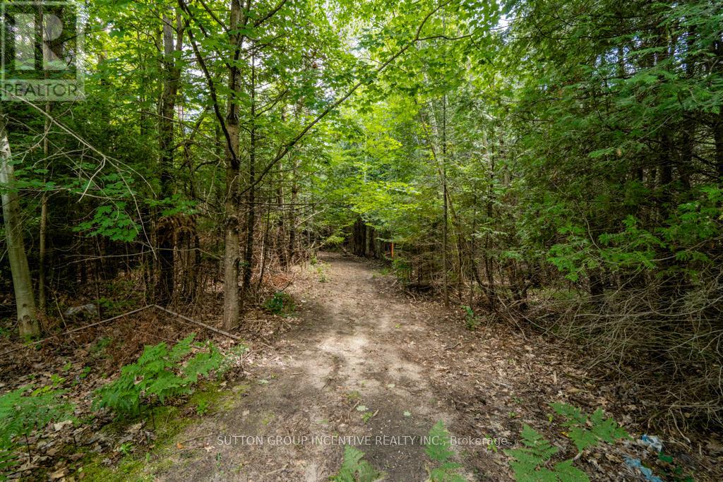 5349 30th Side Road Property Photo 10