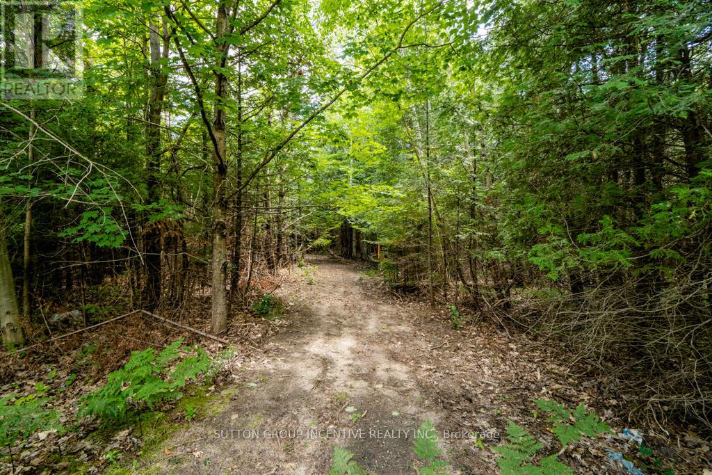 5349 30th Side Road Property Photo 11
