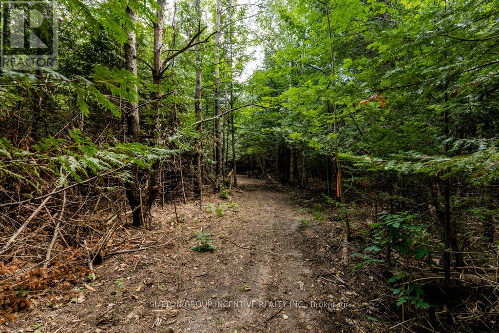 5349 30th Side Road Property Photo 12