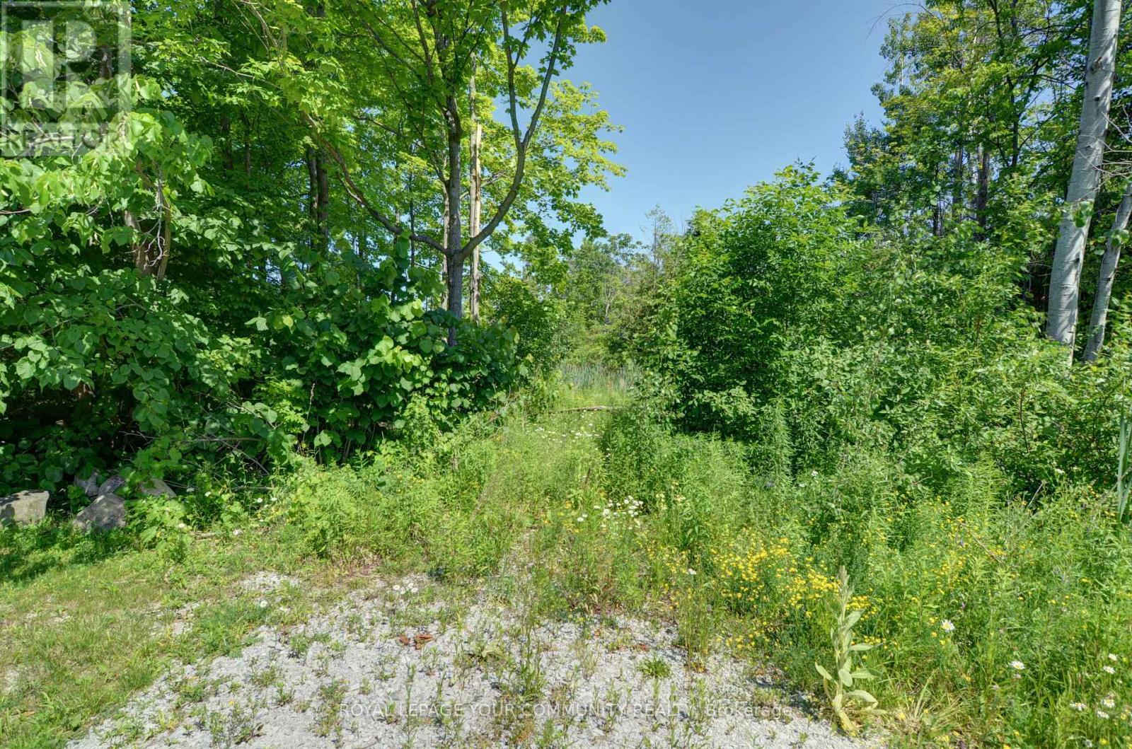 3635 Kimberley Street Property Photo 9