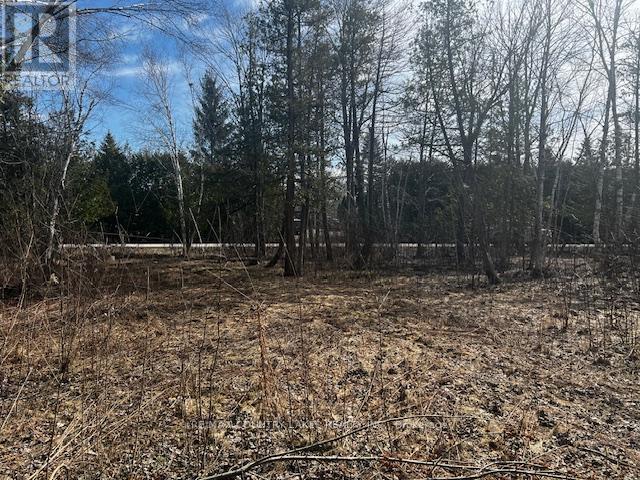 122-123 Riverview Beach Road Property Photo 6