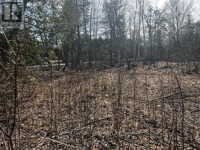 122-123 Riverview Beach Road Property Photo 7
