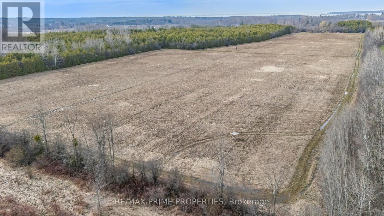 28171 Highway 48 Property Photo 11