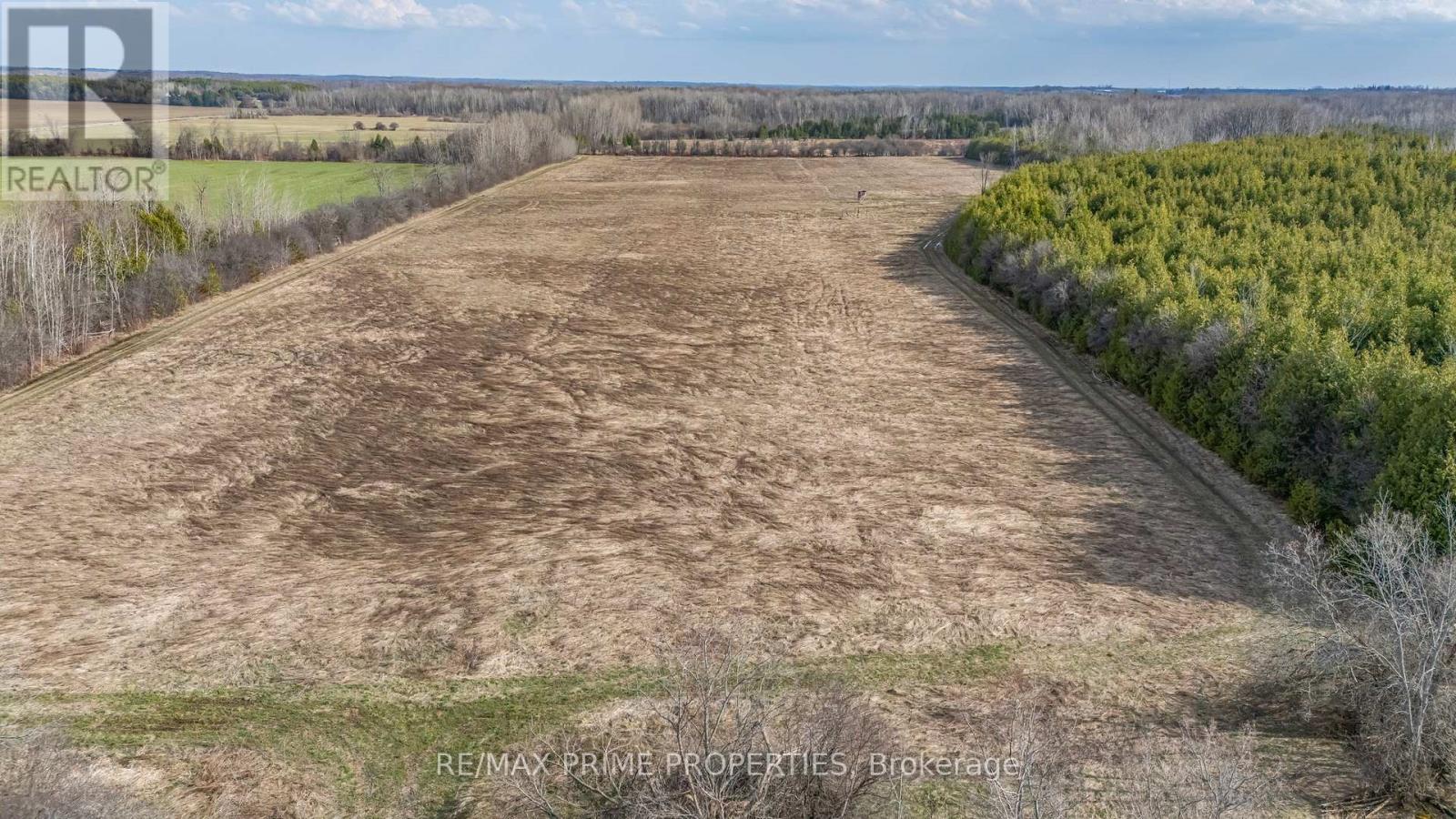 28171 Highway 48 Property Photo 17
