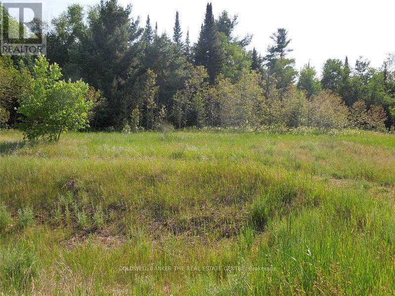 8 Tioga Boulevard Property Photo 4
