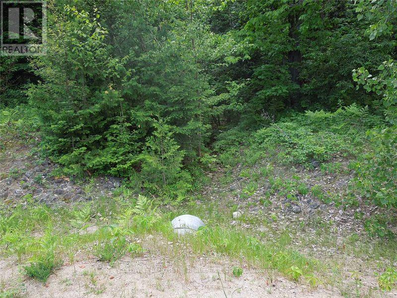 8 Tioga Boulevard Property Photo 7