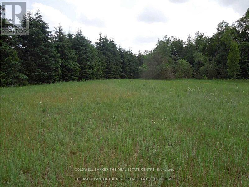 6 Tioga Boulevard Property Photo 3