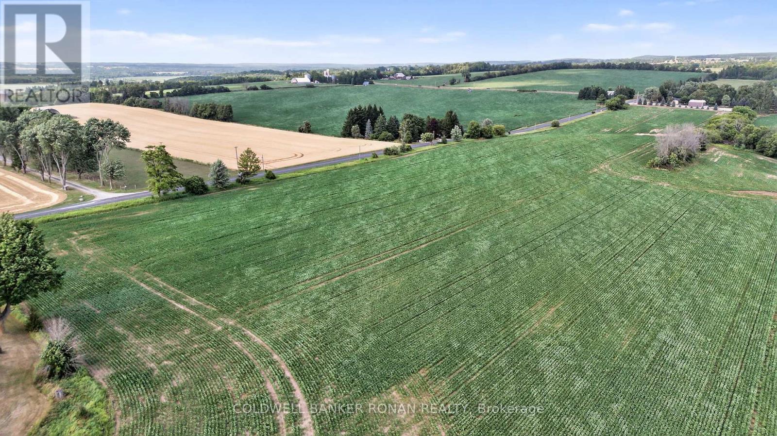 4495 Line 11 Property Photo 17