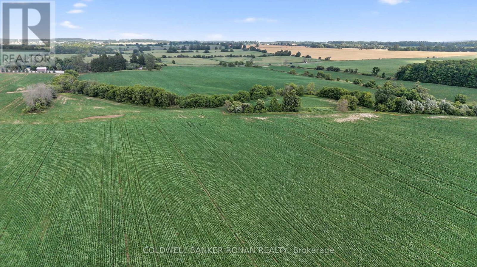 4495 Line 11 Property Photo 18