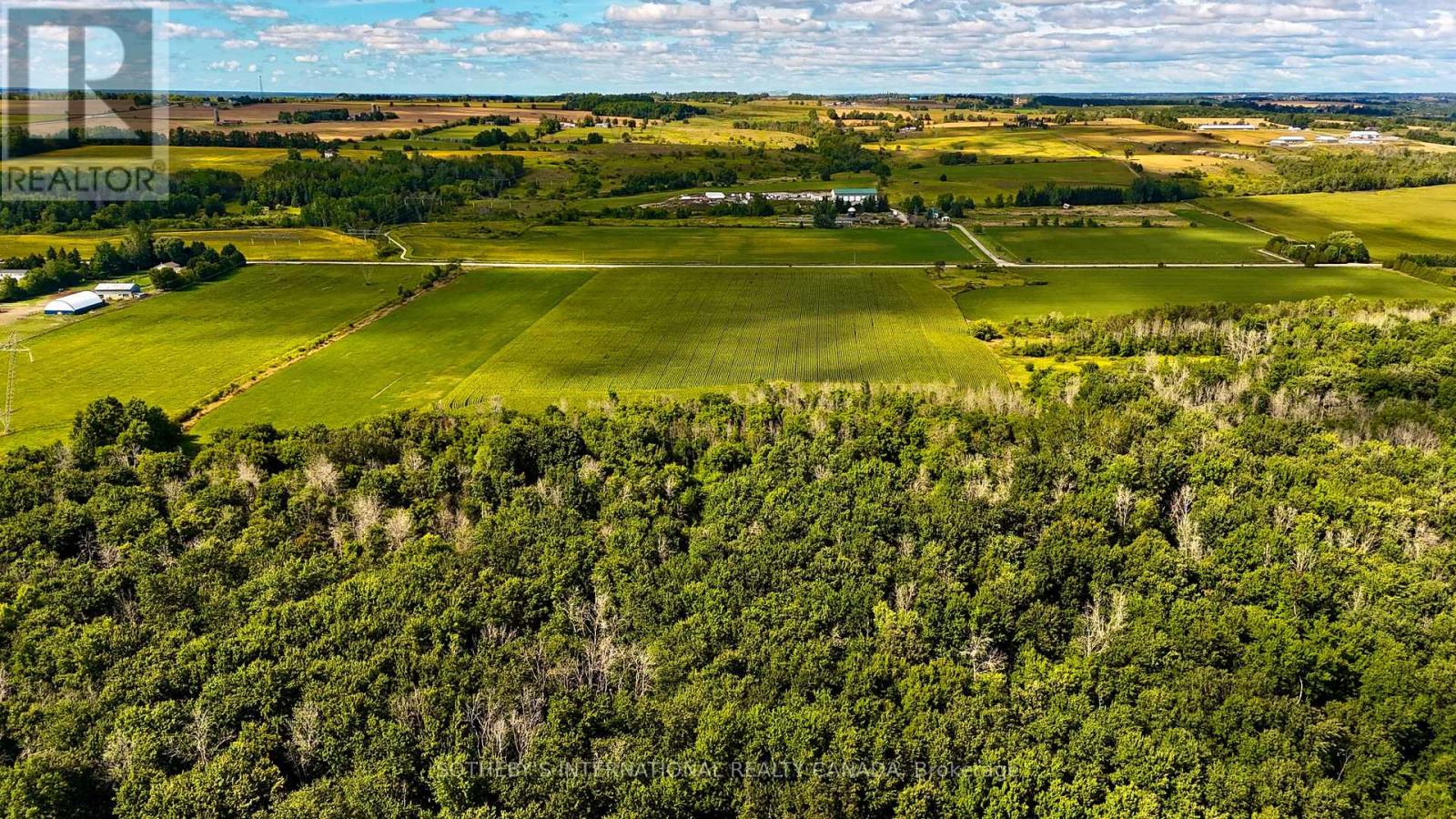 5231 13th Line Property Photo 7