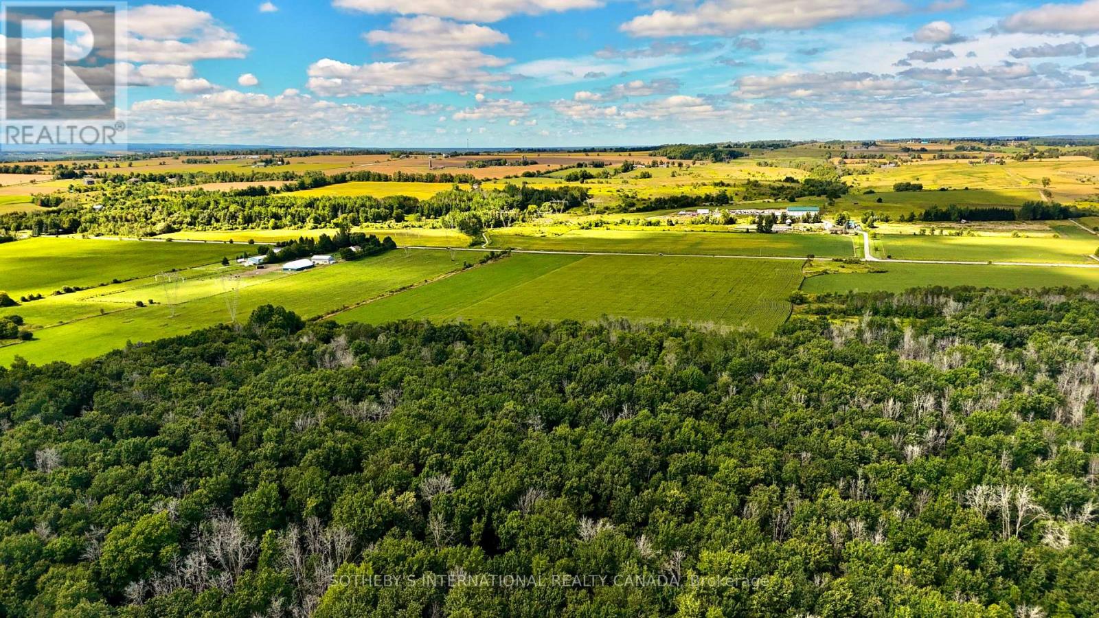 5231 13th Line Property Photo 11