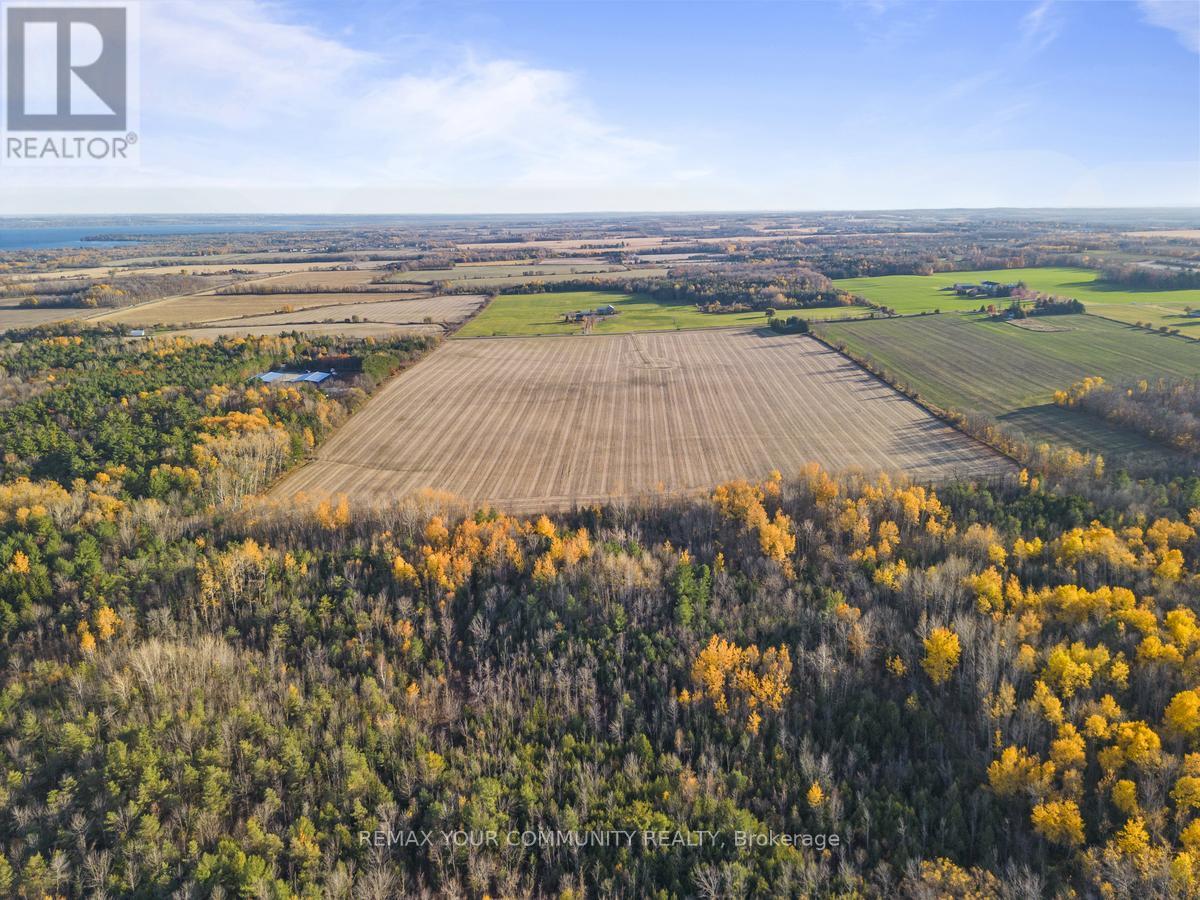 1703 Innisfil Beach Road Property Photo 4