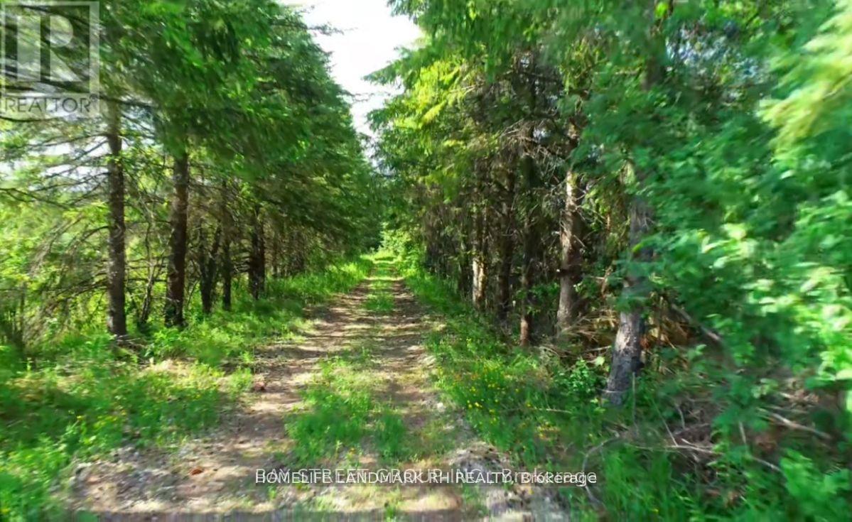 4870 Elgin Mills Road E Property Photo 5