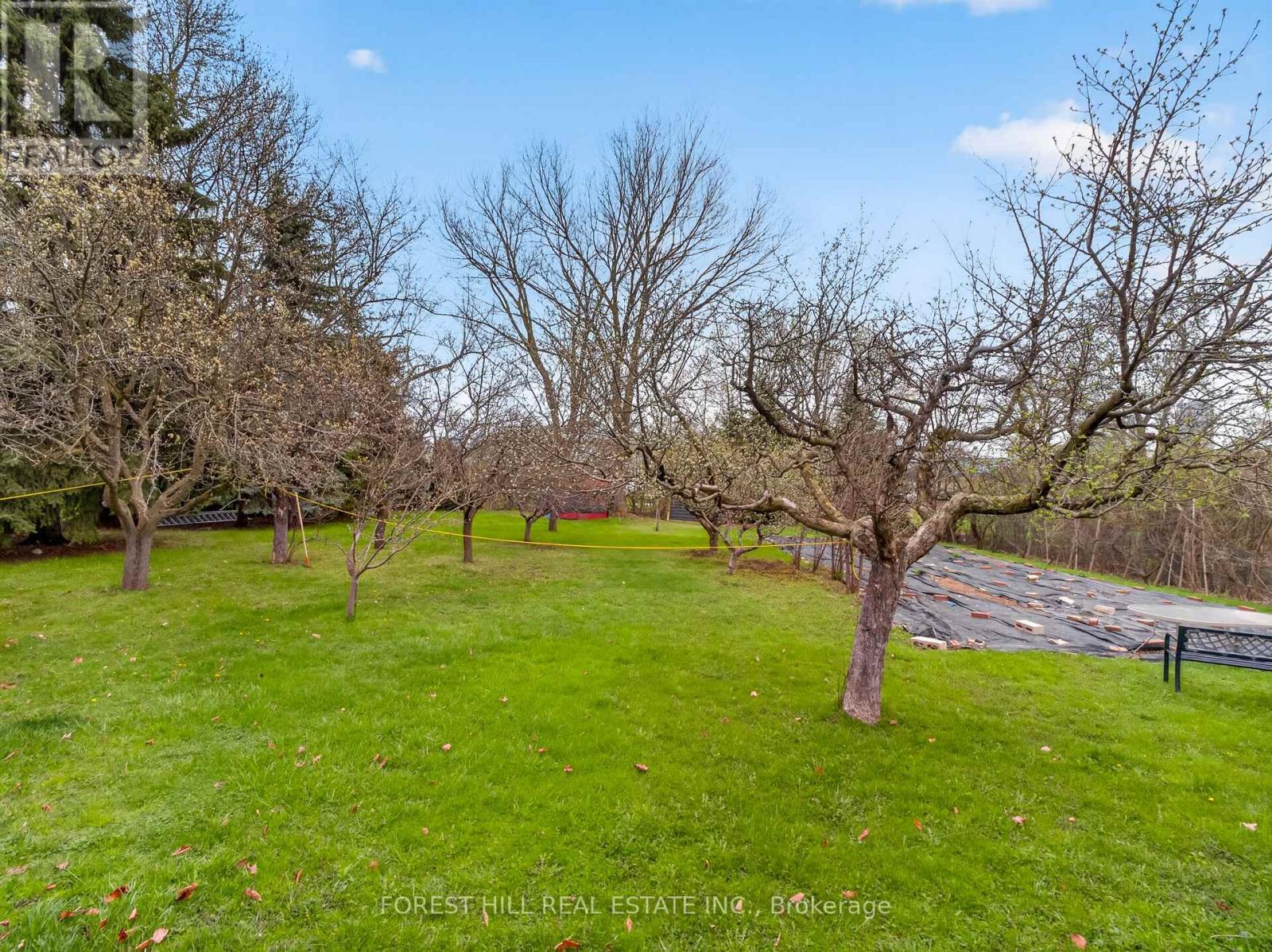 27 Vaughan Boulevard Property Photo 10