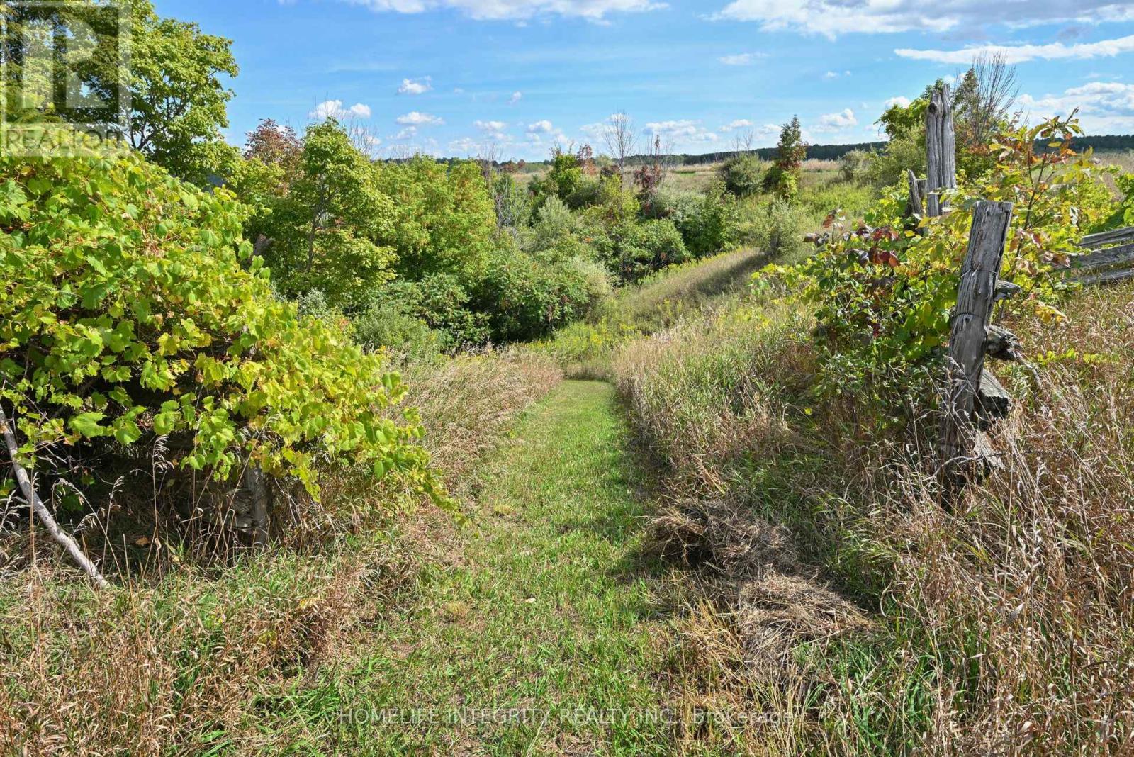 995305 Mono Adjala Townline Property Photo 36