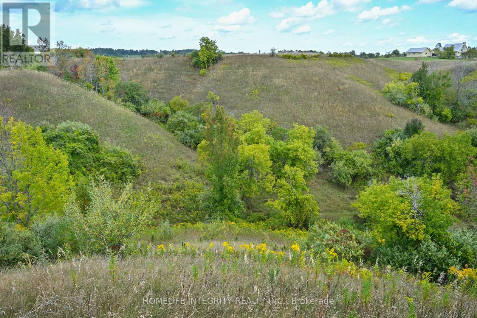 995305 Mono Adjala Townline Property Photo 39