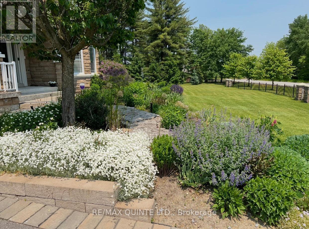 2 Treeview Avenue Property Photo 32