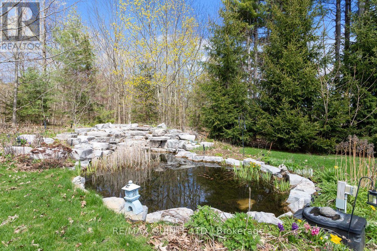 2 Treeview Avenue Property Photo 33