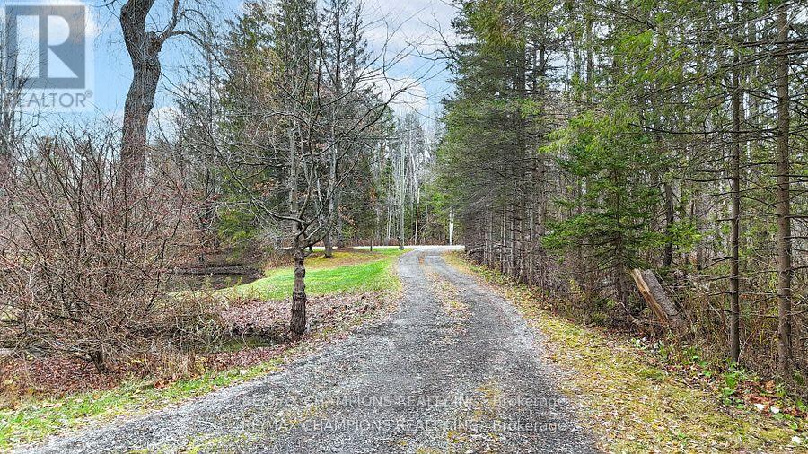 16548 7th Concession Road Property Photo 35