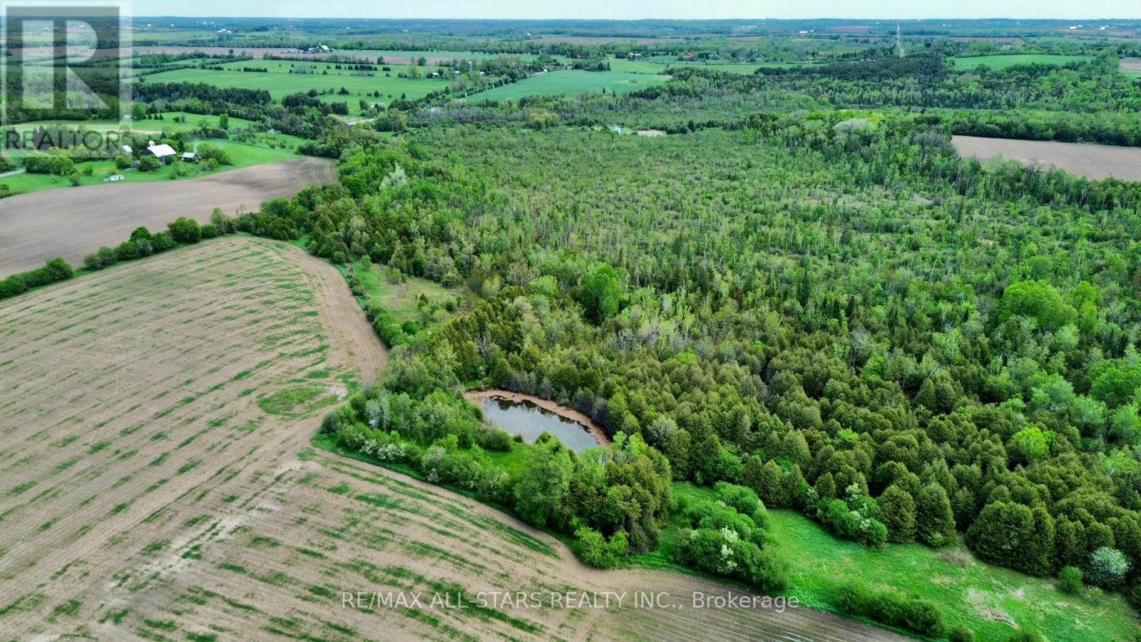 14629 Regional 1 Road Property Photo 4