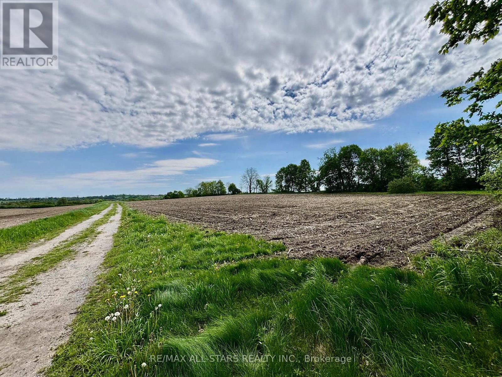 14629 Regional 1 Road Property Photo 7