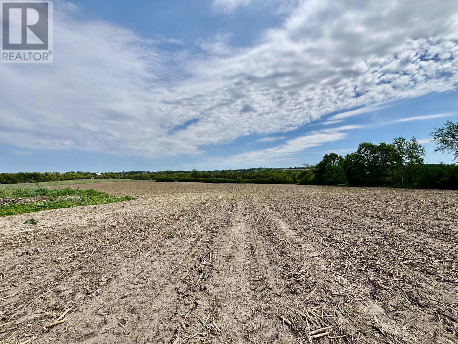 14629 Regional 1 Road Property Photo 8