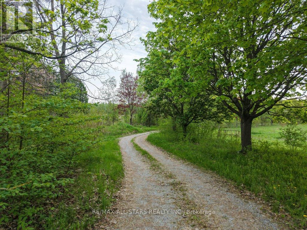 1269 Concession 3 Road Property Photo 34