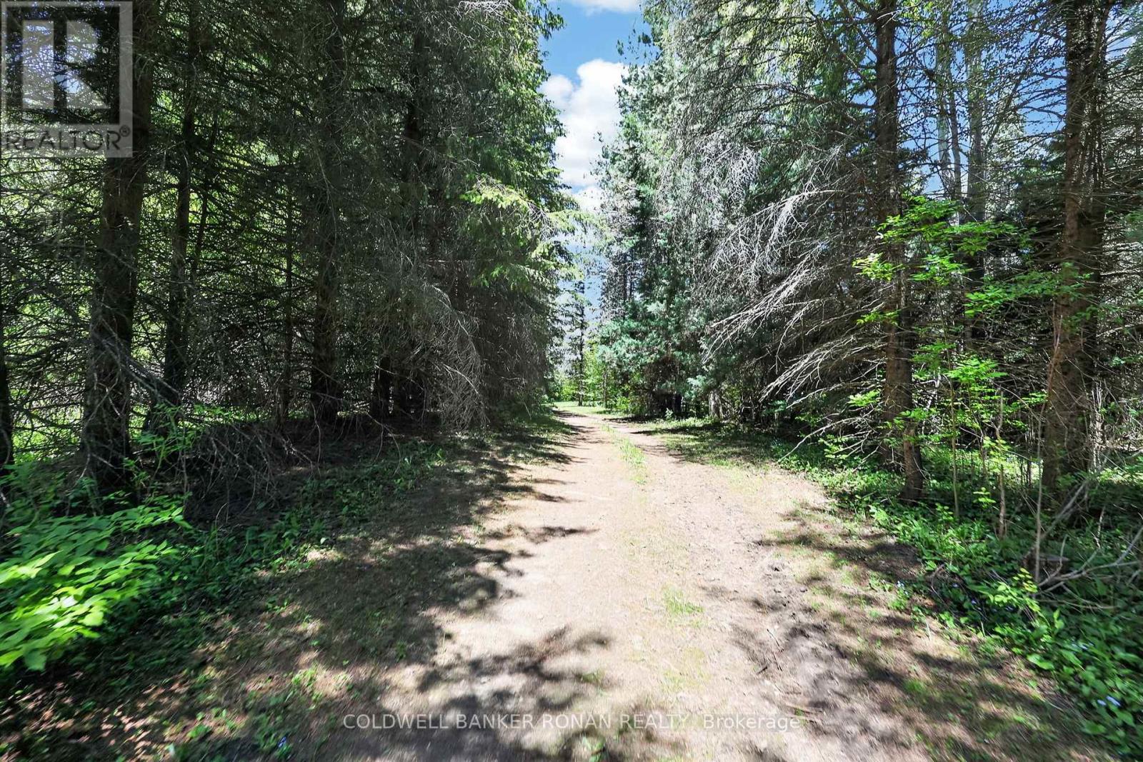 5565 5th Line Property Photo 45