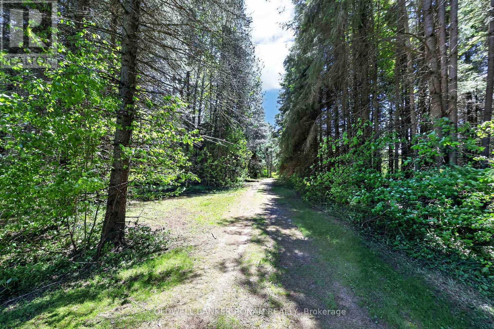 5565 5th Line Property Photo 46