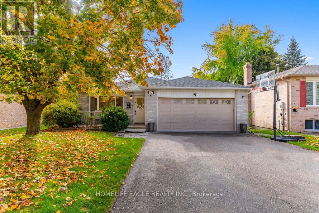 17 Beckett Avenue Property Photo 1