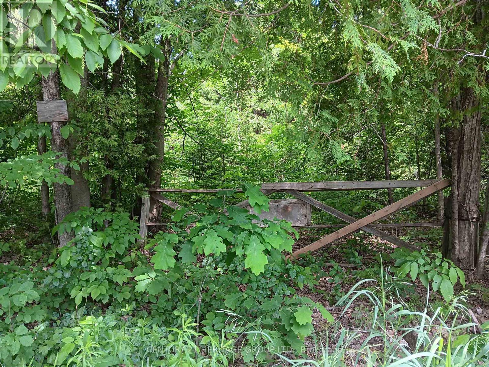 7 Line Property Photo 2