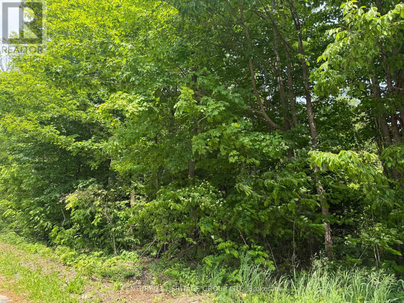 7 Line Property Photo 4