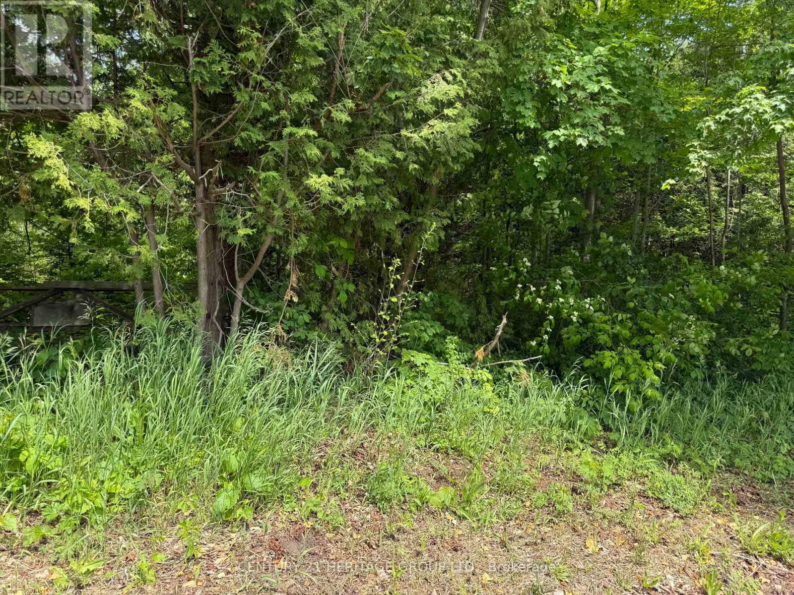 7 Line Property Photo 5