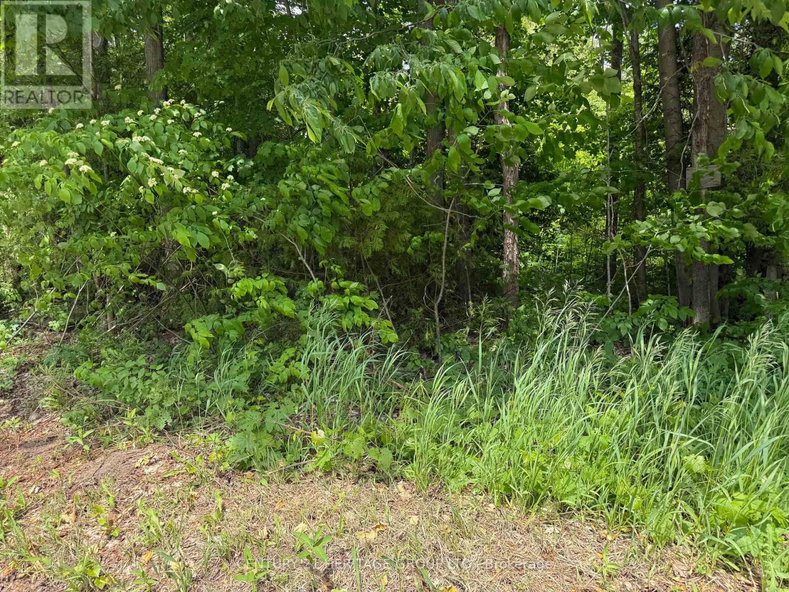 7 Line Property Photo 6